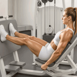 Press de Piernas en Máquina
